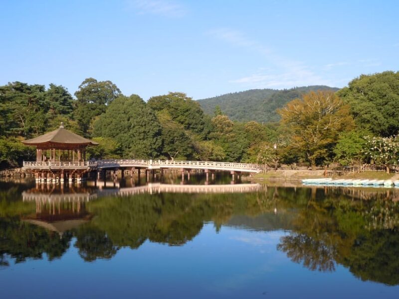 Nara Park and Todai-ji Private Spanish Tour - What We Loved About This Tour