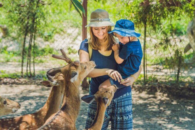Nara Personalized Half Day Food Tour with a Local Guide - Key Points