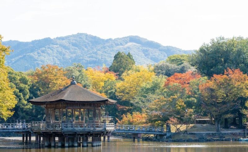 Nara: Private City Tour With A Local Guide - The Value of This Experience