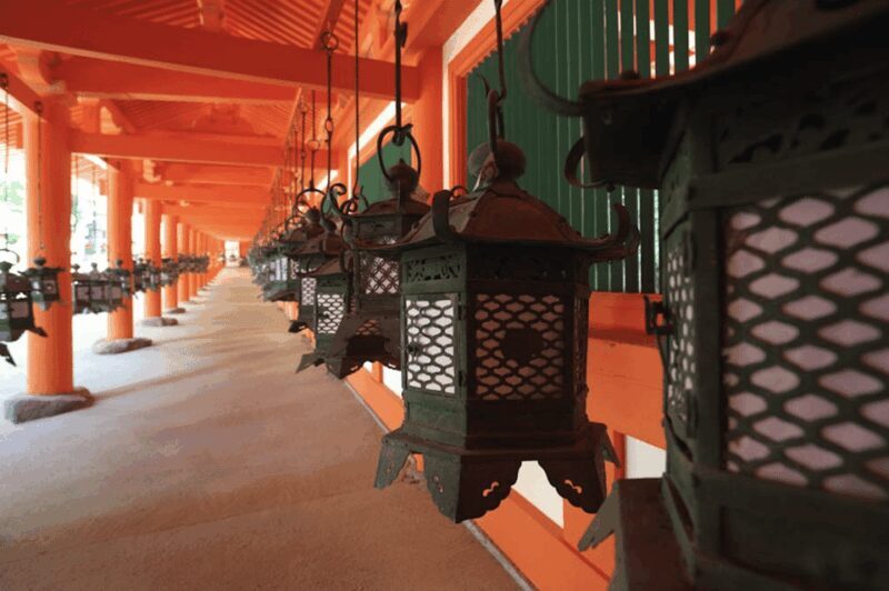 Nara Private Custom Tour with Local Guide - Key Points