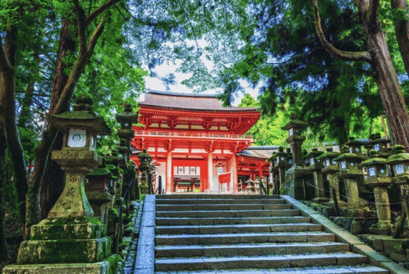 Nara Private Custom Tour with Local Guide - Final Thoughts