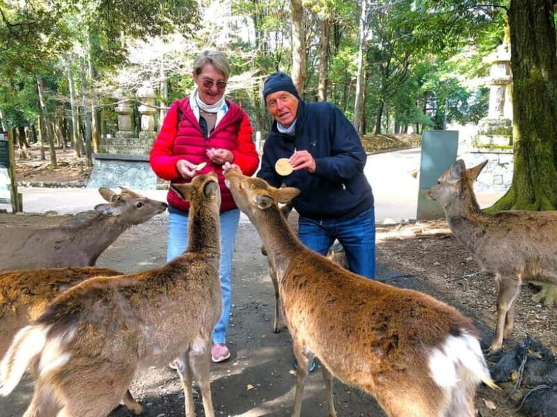 Nara: Private Custom Walking Tour with Local Guide - What Makes This Tour Stand Out?