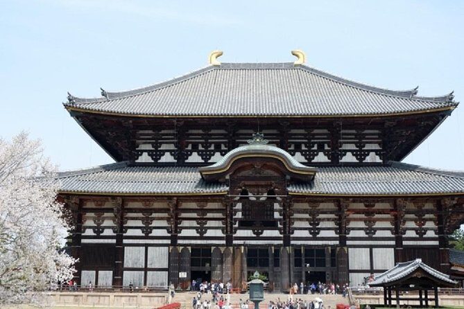 Nara Private Tour by Public Transportation from Osaka - Overview of the Tour Experience