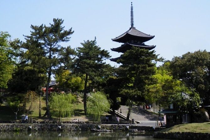 Nara Private Tour by Public Transportation from Osaka - Reviews: Authentic Insights from Past Travelers