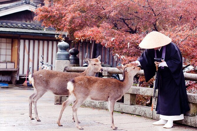 Nara Private Tour with Pick and Drop and English Speaking Driver - Nara Park: The Heart of the City