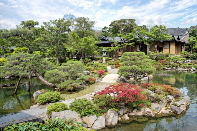 Nara Private Tour with Pick and Drop and English Speaking Driver - Kasuga Taisha Shrine and Museum