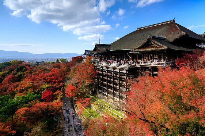 Nara Private Tour with Pick and Drop and English Speaking Driver - Kofuku-ji Temple and Nara National Museum