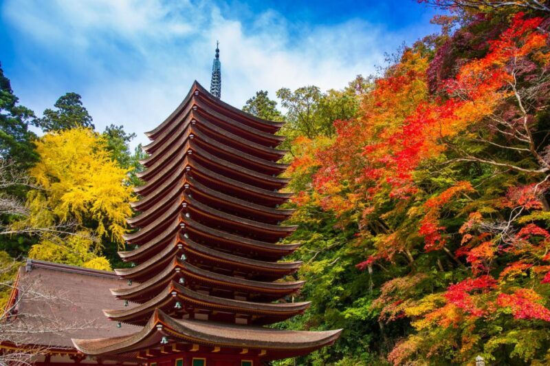 Nara: Private Tour with Private Guide - Why Consider a Private Guide for Nara?