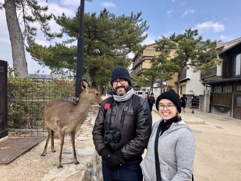 Nara: Private Tour with Private Guide - What Sets This Tour Apart?