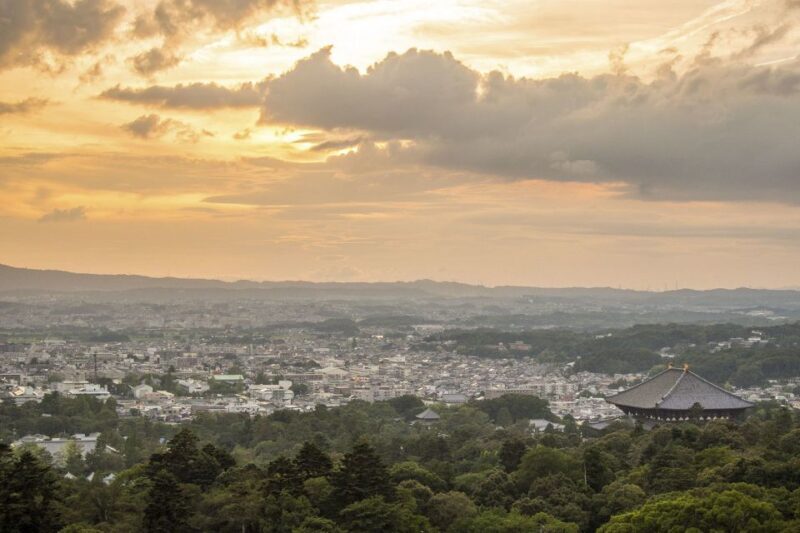 Nara: Private Walking Tour with a Local - What to Expect on the Tour