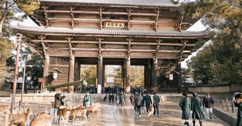 Nara: Private Walking Tour with a Local - The Itinerary Breakdown