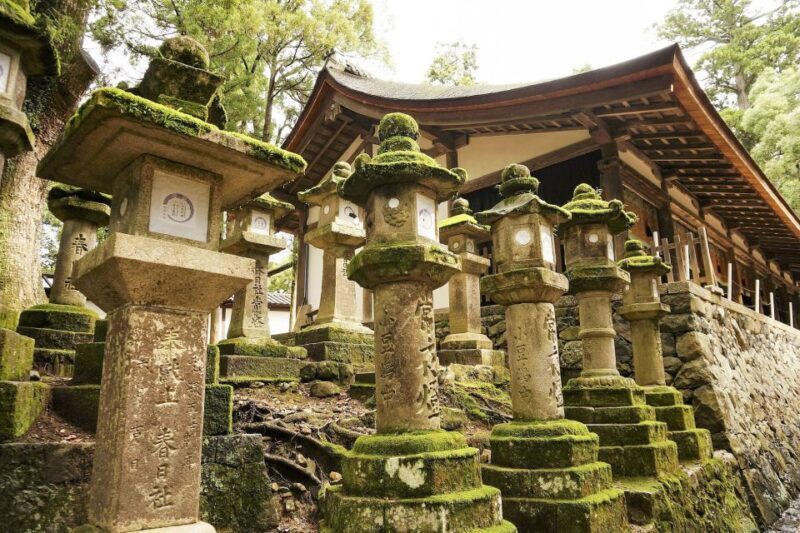 Nara: Private Walking Tour with a Local - Frequently Asked Questions