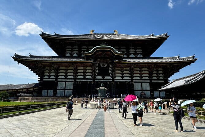 Nara Sake Tasting Tour by Kampai Sake Tours - Who Will Enjoy This Tour?
