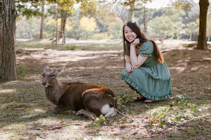 Nara Serenity: Memories Among Deer and Temples - The Itinerary in Detail
