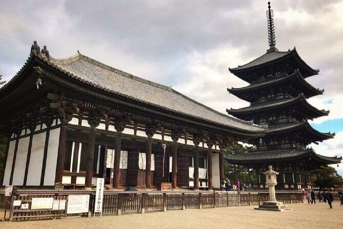 Nara Todaiji Kasuga Taisha Private Full Day Tour From Kyoto - A Deep Dive into the Tour Experience