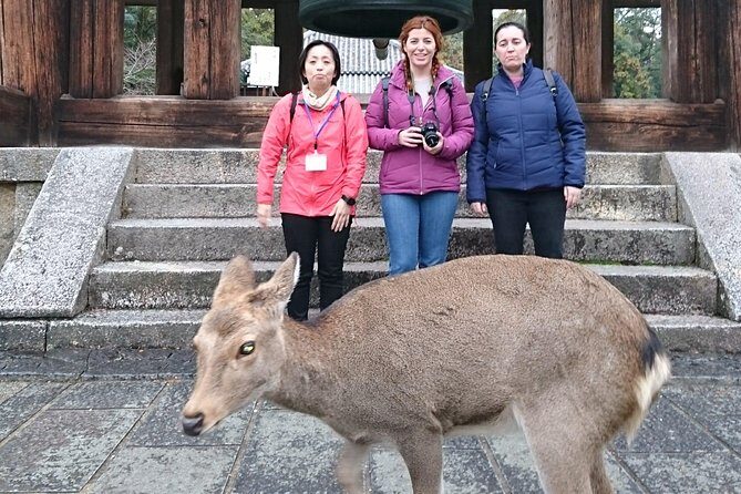 Nara Todaiji Lazy Bird Walking Tour - FAQs