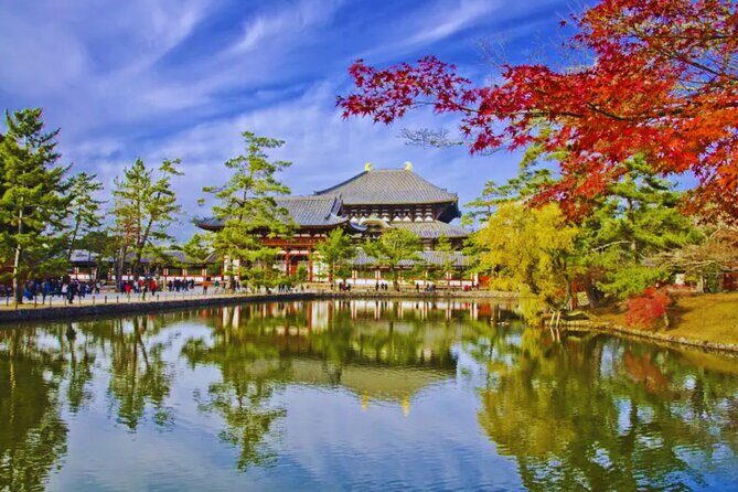 Nara, Todaiji Temple & Kuroshio Market Day BUS Tour from Osaka - Who Is This Tour Best For?