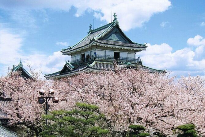 Nara, Todaiji Temple & Kuroshio Market Day BUS Tour from Osaka - Authentic Experiences and Honest Feedback