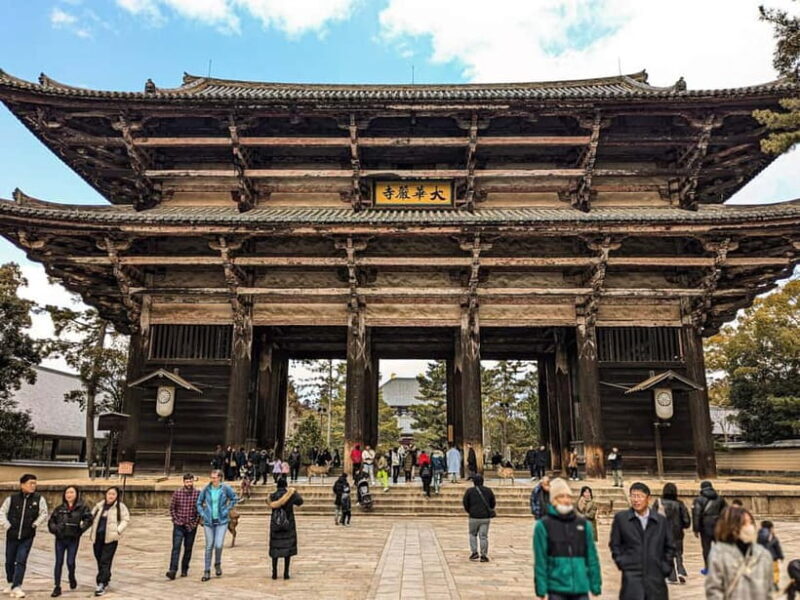 Nara: UNESCO Heritage Sites & Deer Park Tour with Pro guide - What to Expect: A Well-Structured 3-Hour Journey
