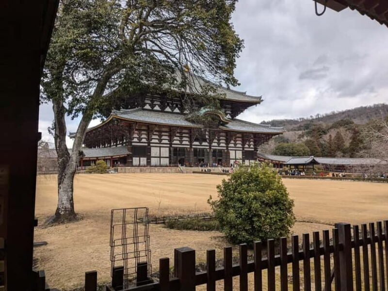 Nara: UNESCO Heritage Sites & Deer Park Tour with Pro guide - Who Will Love This Tour?