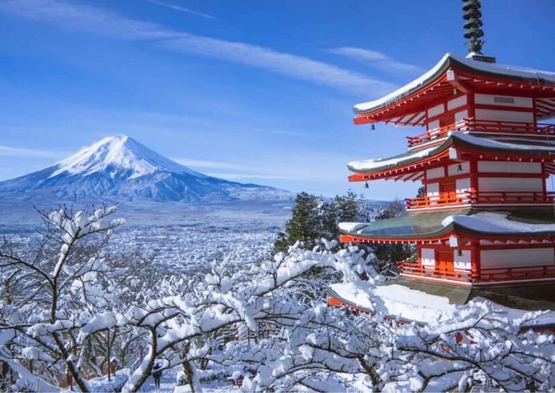Nara: Walking Tour with Kfuku-ji and Tdai-ji Temples - Practical Details & Tips
