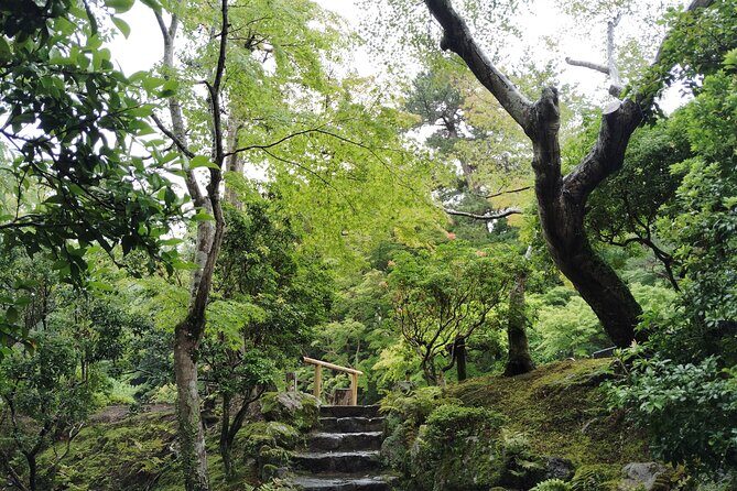 Nara: Yoshikien and Isuien Gardens Tour with Tea Tasting - Practical Considerations