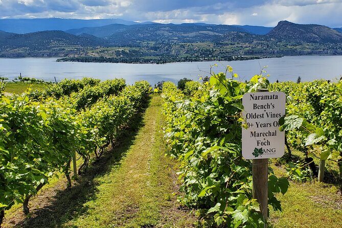 Naramata Private Wine Tour - Half Day - An In-Depth Look at the Naramata Private Wine Tour
