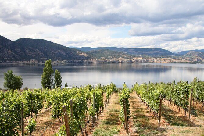 Naramata Public Wine Tour - Full Day - An In-Depth Look at the Naramata Public Wine Tour