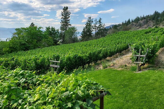 Naramata Public Wine Tour - Half Day - What the Experience Means for You