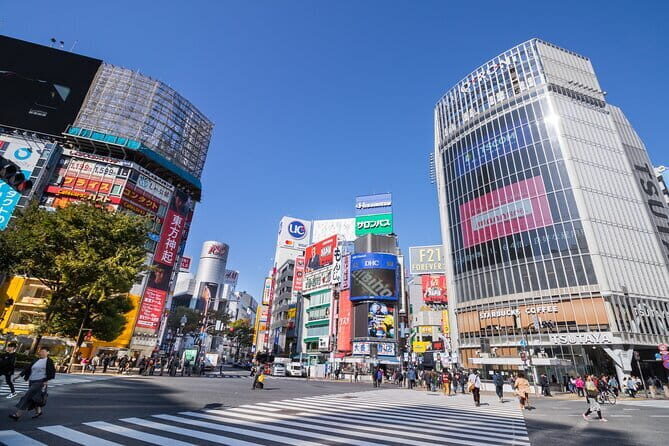 Narita Layover tour with National Licensed guide - The Sum Up