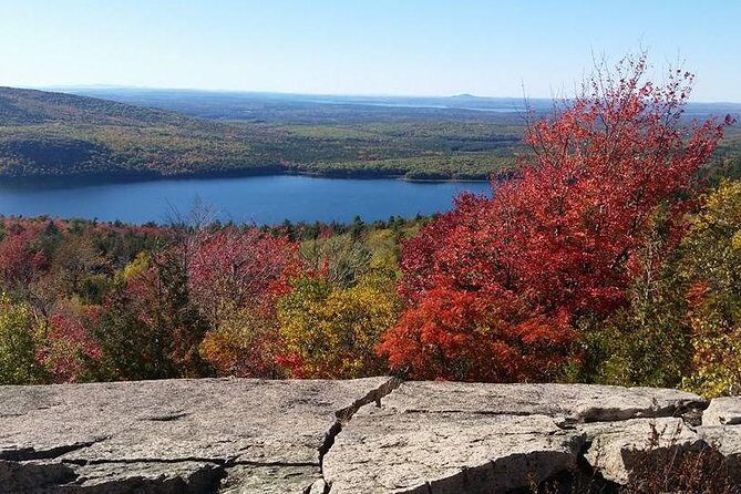 Narrated Bus Tour of Bar Harbor and Acadia National Park - The Sum Up