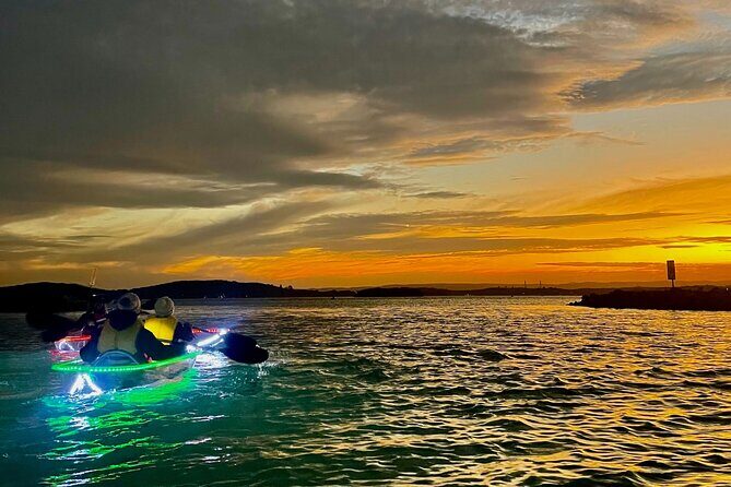 Naru Beach Night Kayak Tour - Who Will Love This Experience?
