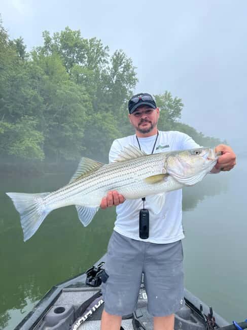 Nashville: Hybrid and Striped Bass Fishing Trip - An In-Depth Look at the Fishing Experience
