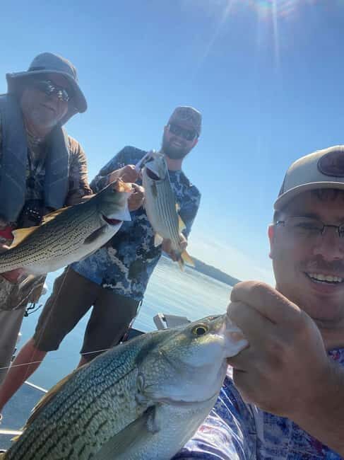 Nashville: Hybrid and Striped Bass Fishing Trip - Why This Tour Offers Great Value