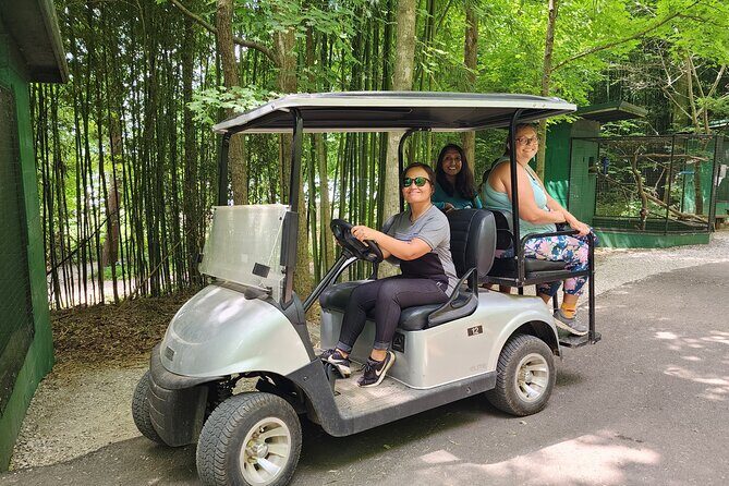 Nashville to Kentucky Caves & Kangaroos: A Day of Enchantment - Lunch and Rest