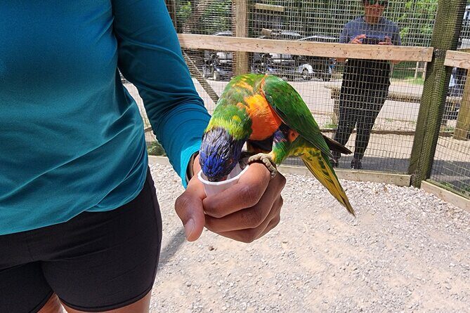 Nashville to Kentucky Caves & Kangaroos: A Day of Enchantment - Kentucky Down Under and the Wildlife Encounter
