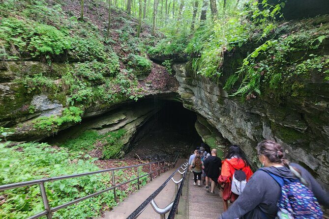 Nashville to Kentucky Caves & Kangaroos: A Day of Enchantment - Return to Nashville