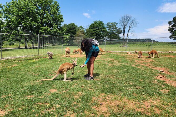 Nashville to Kentucky Caves & Kangaroos: A Day of Enchantment - Authenticity and Unique Experiences