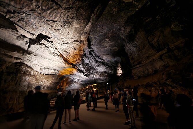 Nashville to Kentucky Caves & Kangaroos: A Day of Enchantment - Practical Tips for Travelers