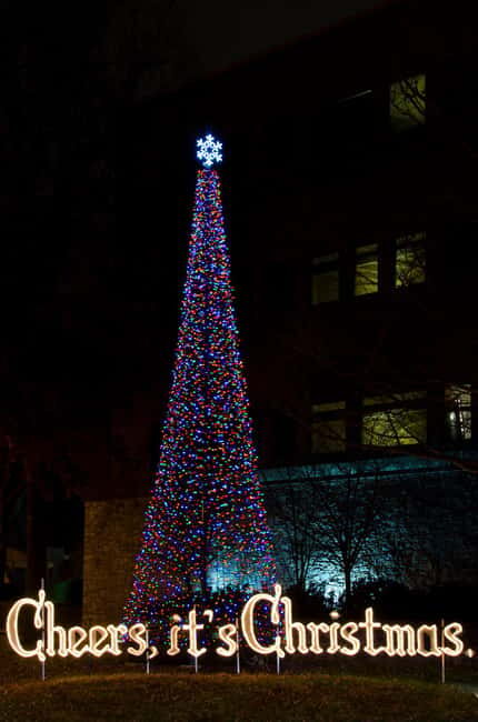 Nashvilles Holiday Harmony: A Private Christmas Melody Tour - An Engaging Tour Through Nashville’s Holiday Spirit