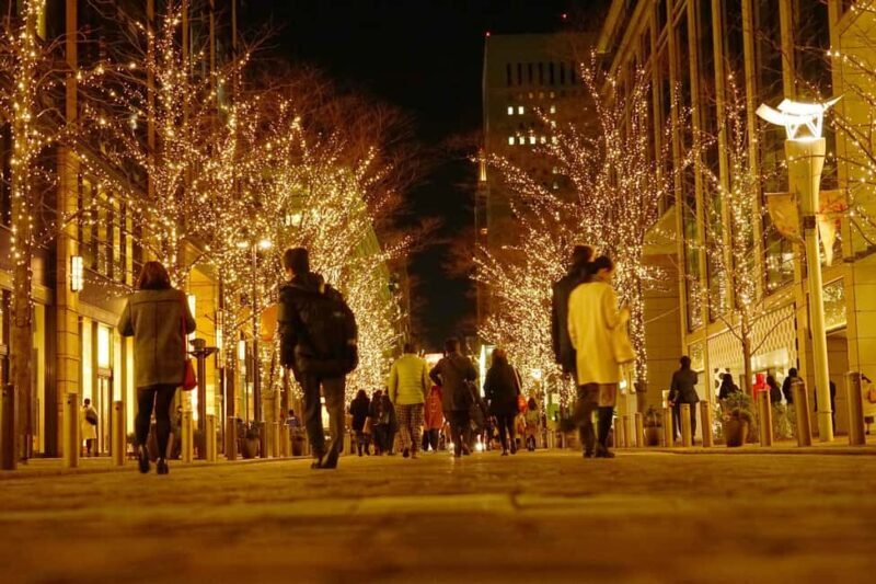 Nashvilles Holiday Harmony: A Private Christmas Melody Tour - Why We Appreciate the Personal Touch