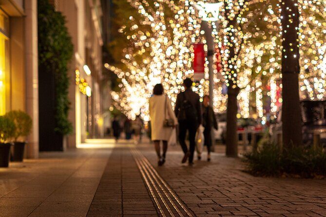 Nashvilles Holiday Harmony: A Private Christmas Melody Tour - Who Should Consider This Tour?