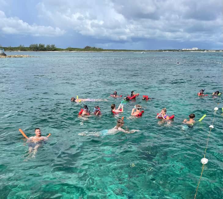 Nassau: 3 Islands Boat w/ Swimming Pigs, Snorkeling & Turtle - Final Thoughts: Who Is This Tour For?