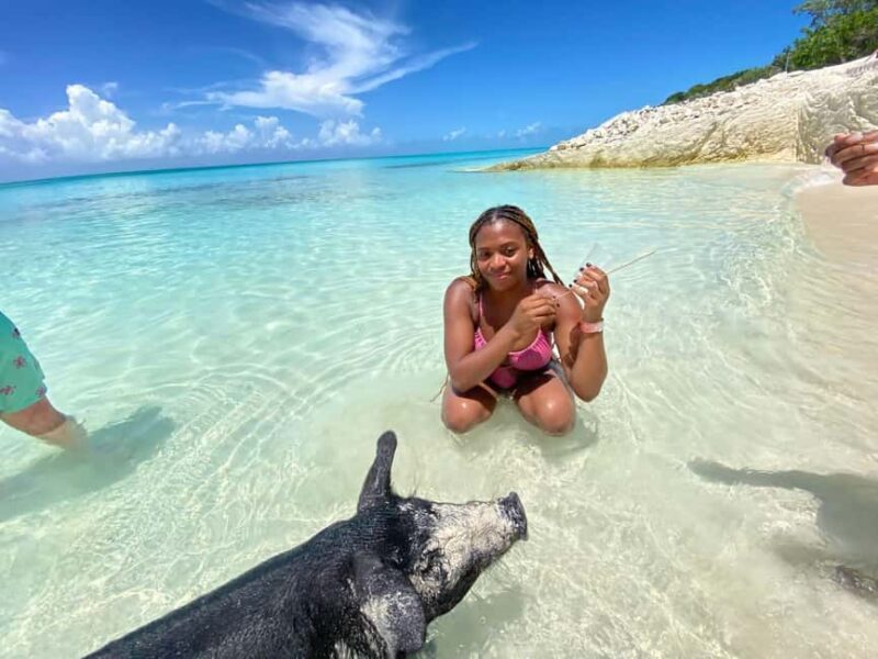 Nassau: 3 Islands Tour, Snorkel, Pig Beach, Turtles & Lunch - Authentic Experiences and Practical Tips