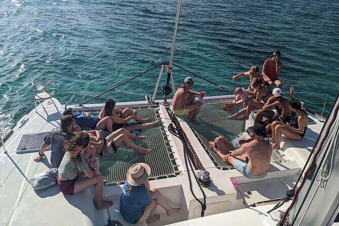 Nassau 3-stops: Snorkeling, Swimming Pigs, Turtles & Lunch - Marine Wildlife & Wildlife Encounters