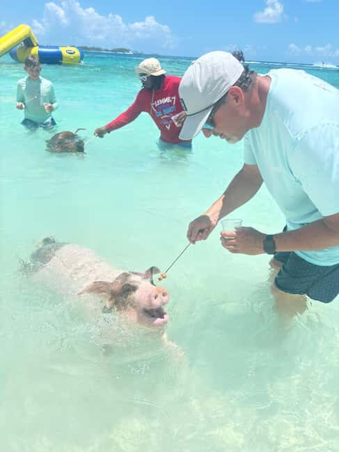 Nassau: 4-Island Tour Swimming Pigs, turtles, snorkeling - An In-Depth Look at the Nassau 4-Island Tour