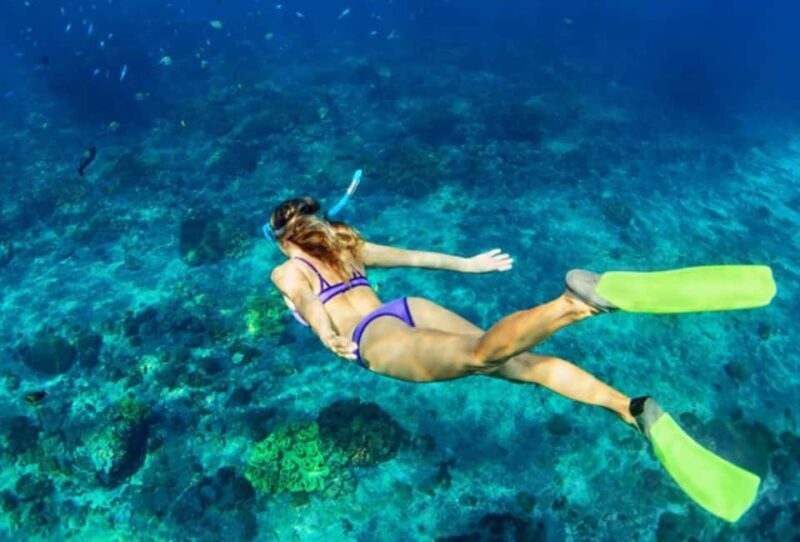 Nassau: Catamaran Sail and Snorkel Tour - The Experience & Crew
