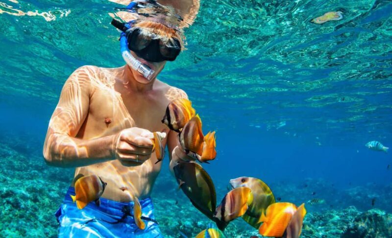 Nassau: Catamaran Sail and Snorkel Tour - Final Thoughts