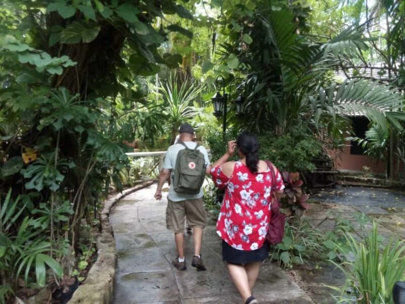 Nassau: Cultural Walking Tour of Downtown Nassau Attractions - Key Points