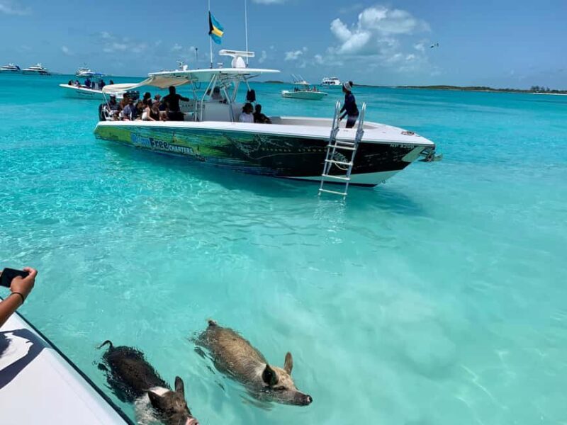Nassau: Discover Exuma Island Hopping and Swimming Pigs Tour - Setting Out from Nassau: What to Expect